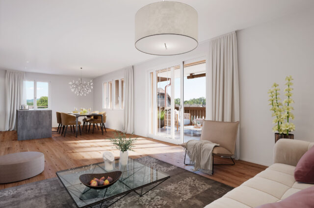 Visualisierung Eigentumswohnungen und Einfamilienhaus Tannerhof in Birrhard AG, Innen